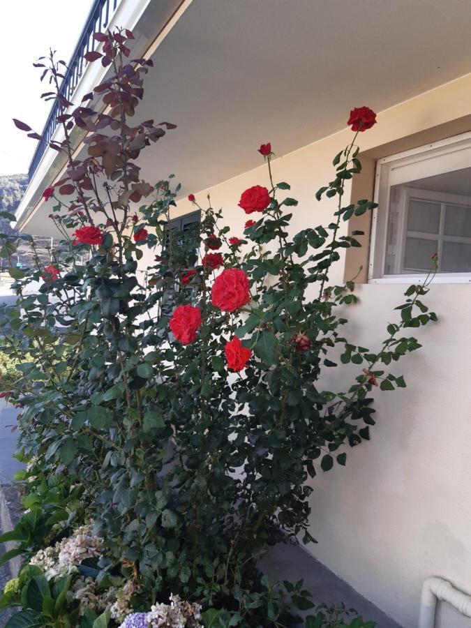 Apartamento Piquinho Machico  Εξωτερικό φωτογραφία